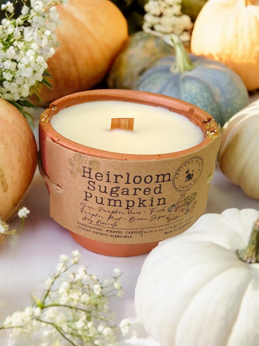 Heirloom Sugared Pumpkin