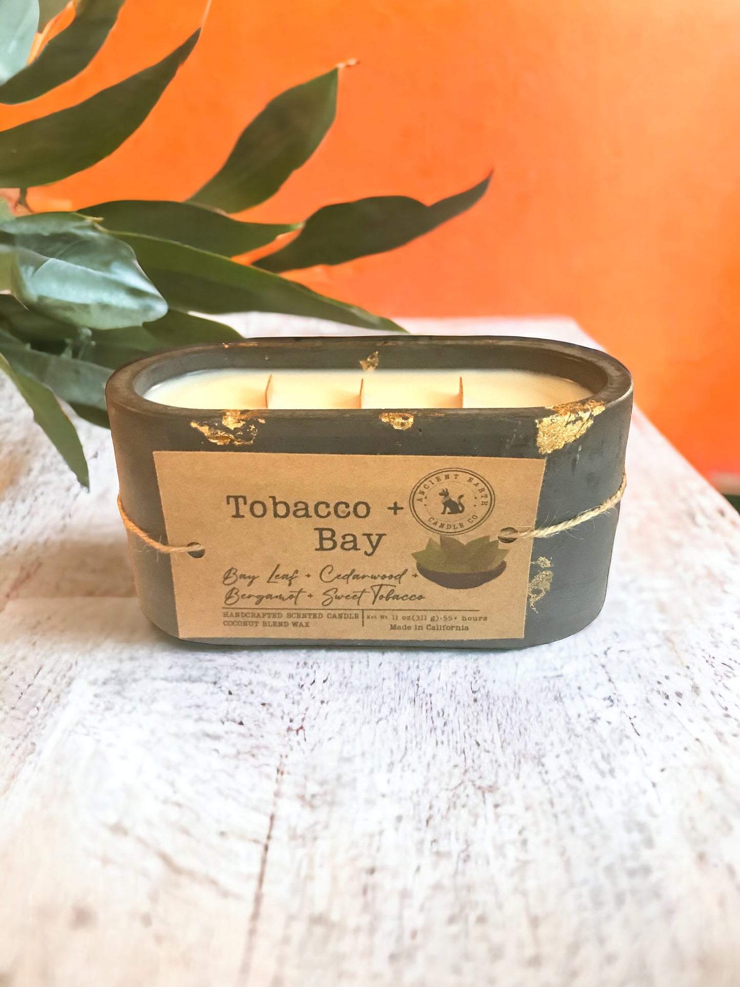 "Tobacco + Bay" Scented Concrete Candle