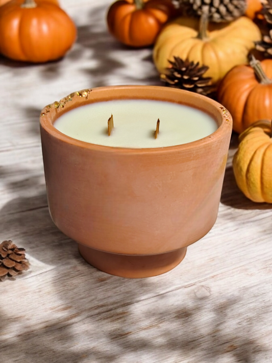 SALE! "Pumpkin Cider"  Scent Collection